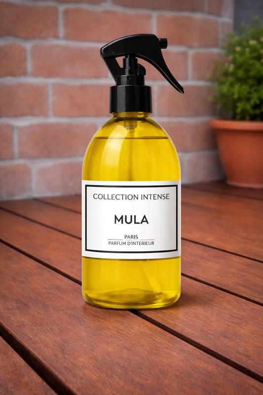 SPRAY INTERIEUR MULA 250ML
